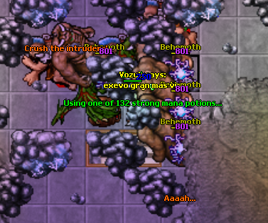 Clearing Behemoth Quest
