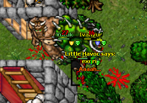 Little Havoc Exori 2
