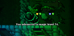 Magic Level 74
