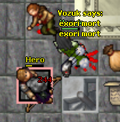 Hunting Heros in Yalahar

