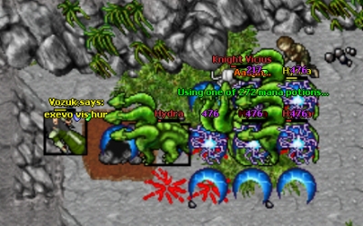 Knight Vicius Blocking 4 Hydras + Vozuk
Almost killed him with my E Wave!
