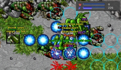 Knight Vicius Blocking 4 Hydras + Vozuk 3
Almost got him!!! xDD
