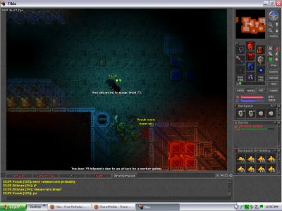 Magic Level 73

