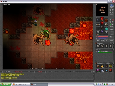 Repi Gwyn's First Fire Elemental
Repi Gwyn, level 27 paladin
