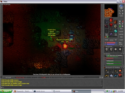 Warrior of Soldier hunting Hellspawns
