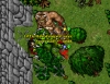 Little_Havoc_Exori.PNG