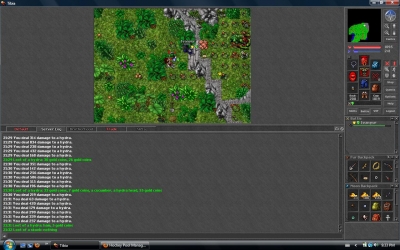 I decided to try out my sharpshooter spell with assassin stars one day at hydras, the outcome was a hit for 834. 
