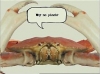 Tibia0013.jpg
